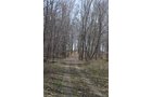 Property photo 123 - REAL ESTATE & PERSONAL PROPERTY AUCTION, 140 Acres offered in 8 Tracts or Combinations in Steuben County